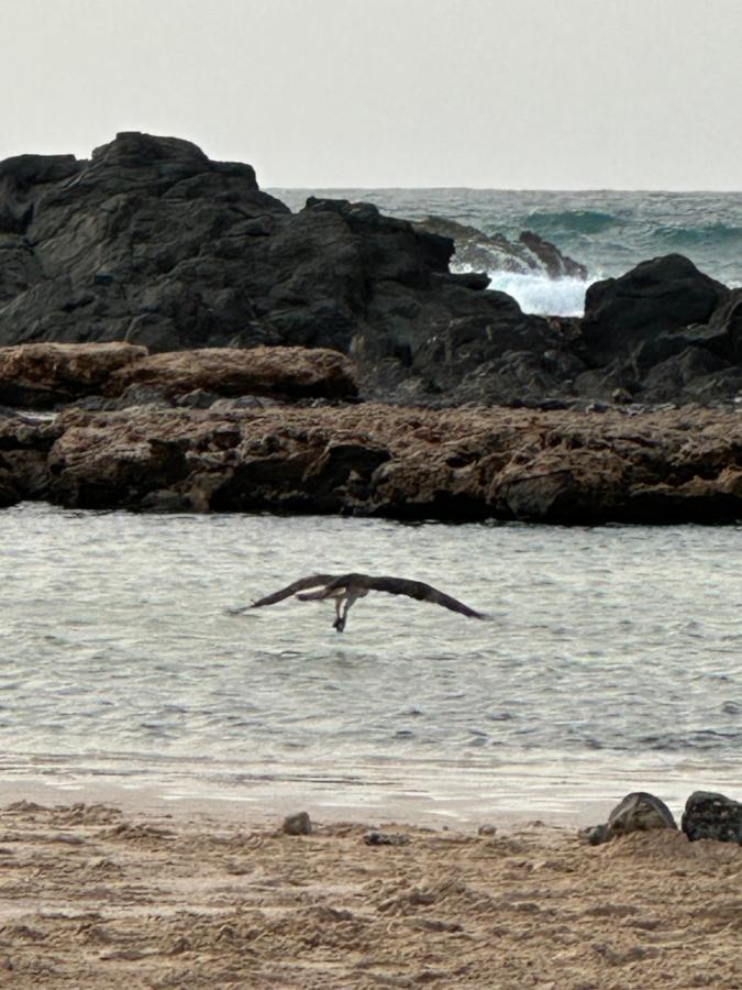 B&B Mi Ma Bo, Sal Rei, Boa Vista, Cape Verde, Free Wi-Fi Dış mekan fotoğraf