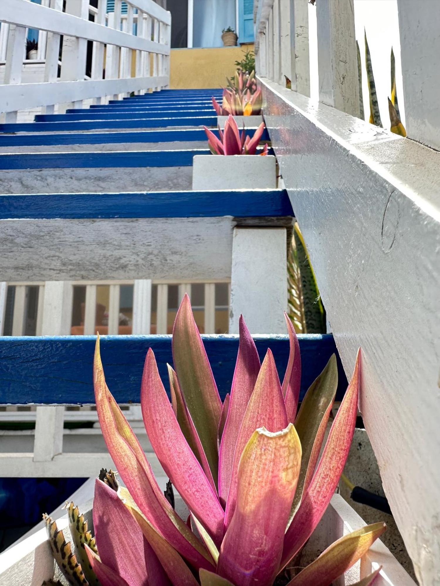 B&B Mi Ma Bo, Sal Rei, Boa Vista, Cape Verde, Free Wi-Fi Dış mekan fotoğraf