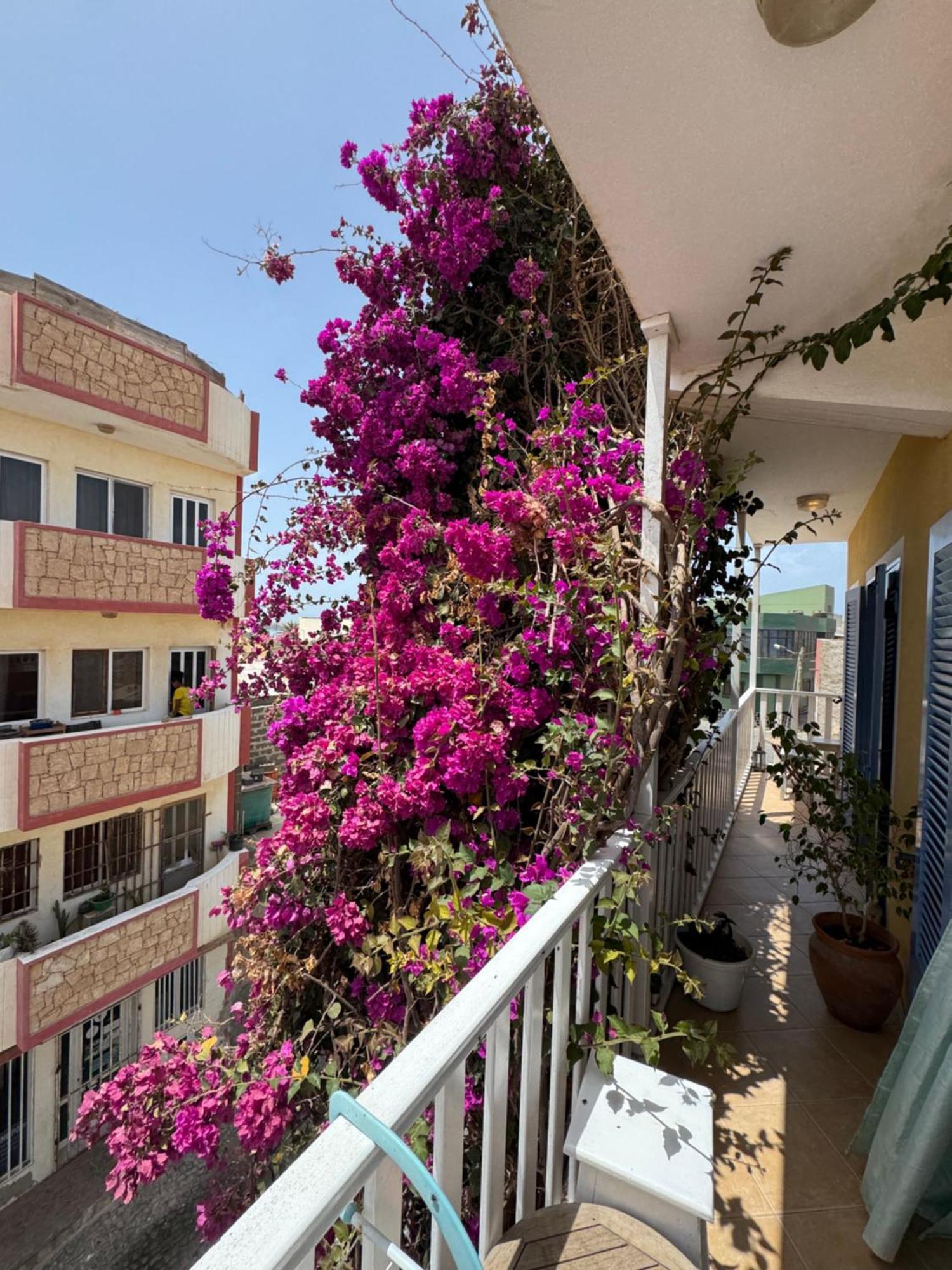 B&B Mi Ma Bo, Sal Rei, Boa Vista, Cape Verde, Free Wi-Fi Dış mekan fotoğraf